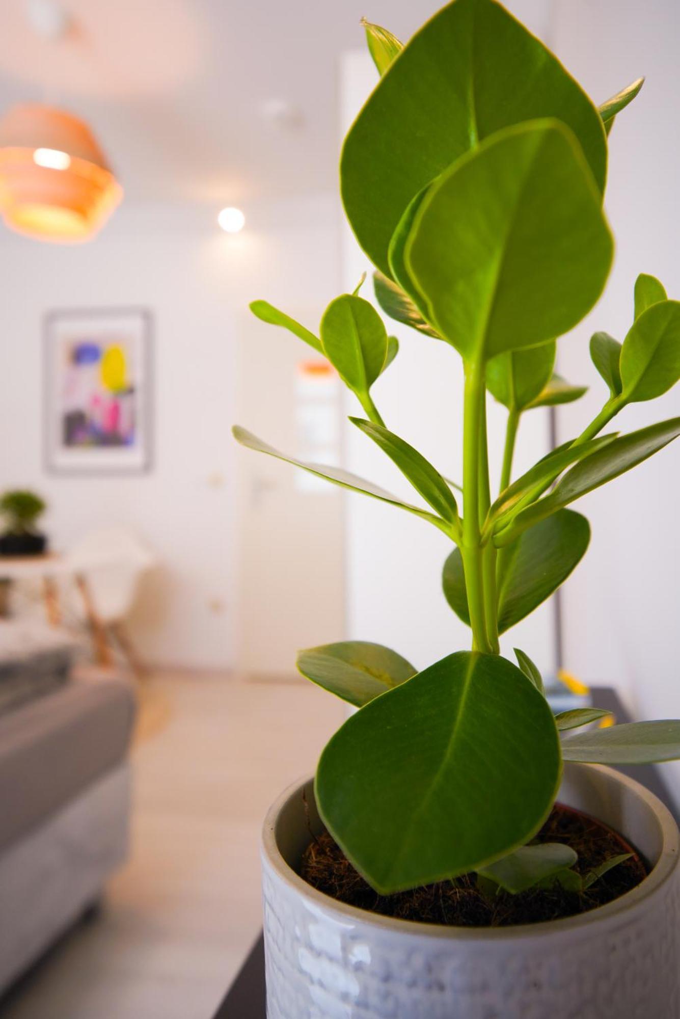 Stilvolles Im Laessigsten Viertel Appartement *